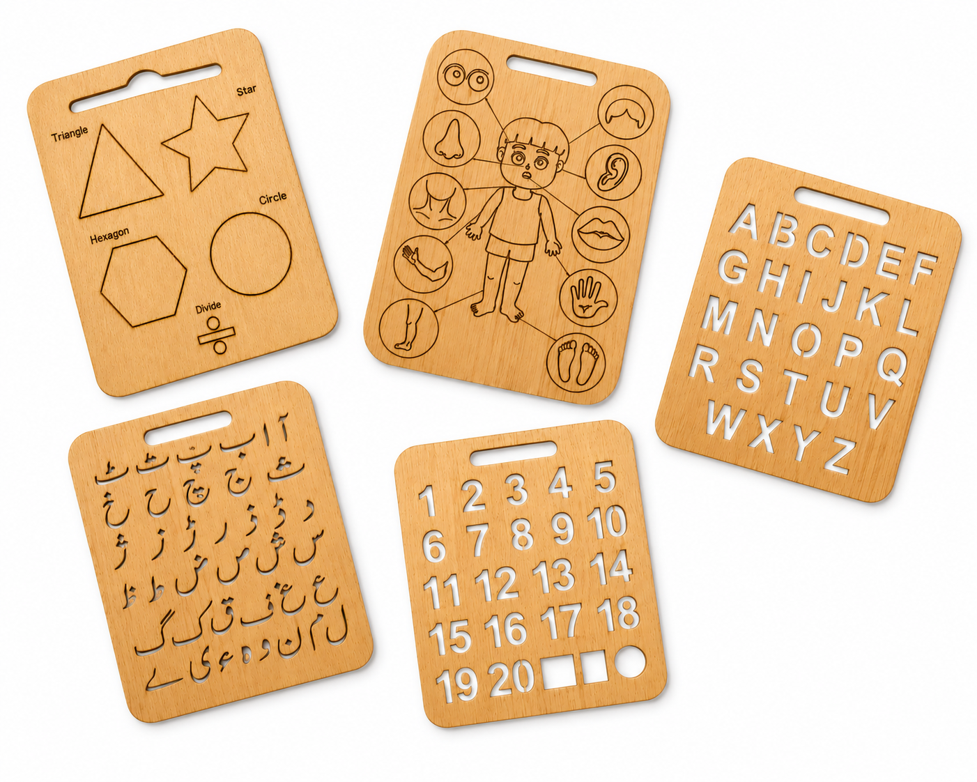 Educational Tracing Boards