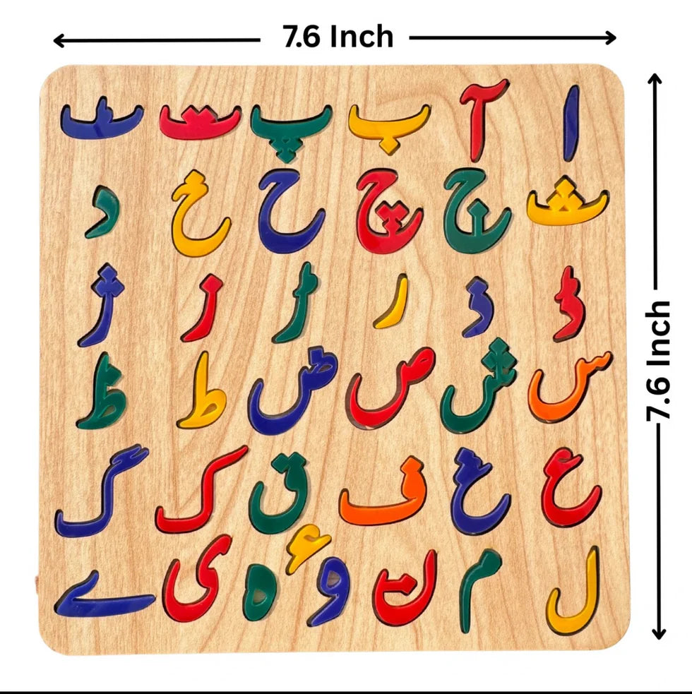 Premium Montessori Colorful Acrylic Puzzle Boards