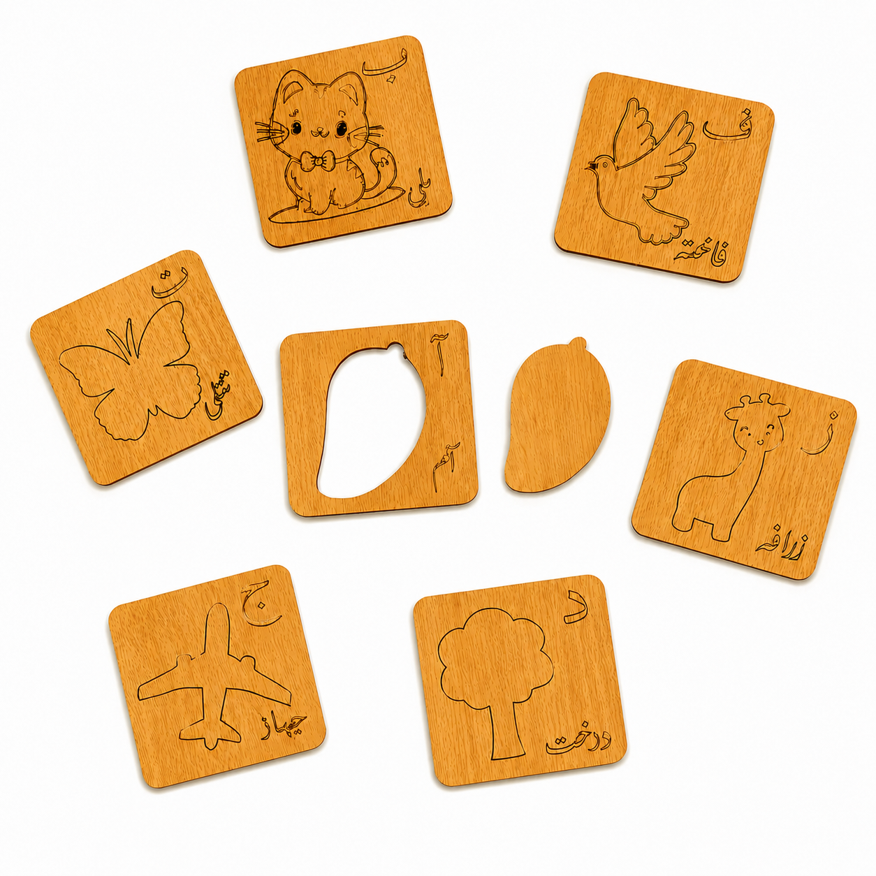 Premium 6-in-1 Educational Learning Kit for Kids